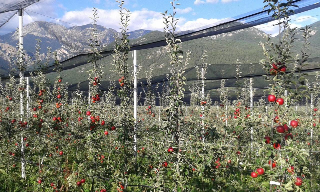 Casa Rural Rebost Vendégház San Lorenzo de Morunys Kültér fotó