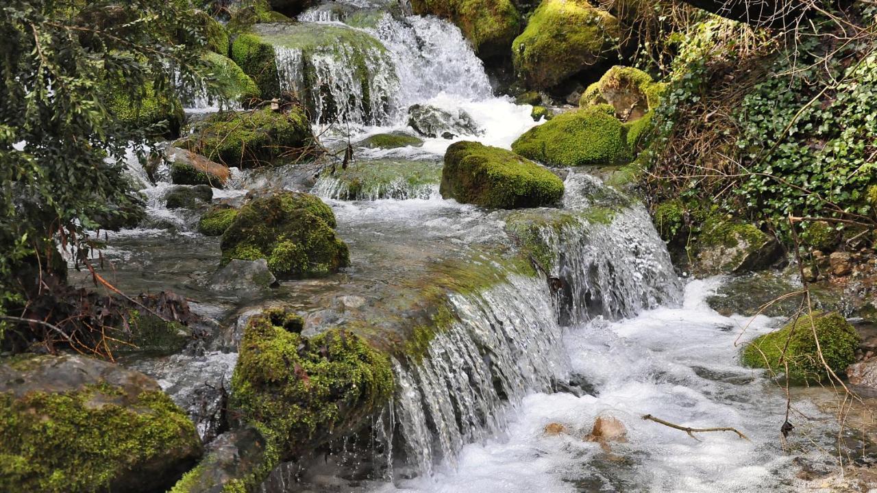 Casa Rural Rebost Vendégház San Lorenzo de Morunys Kültér fotó